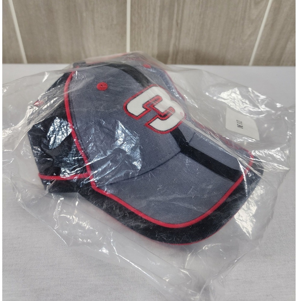 Chase Authentics Vtg NASCAR Hat NEW OS Dale Earnhardt 3 Gray Black Red Racing